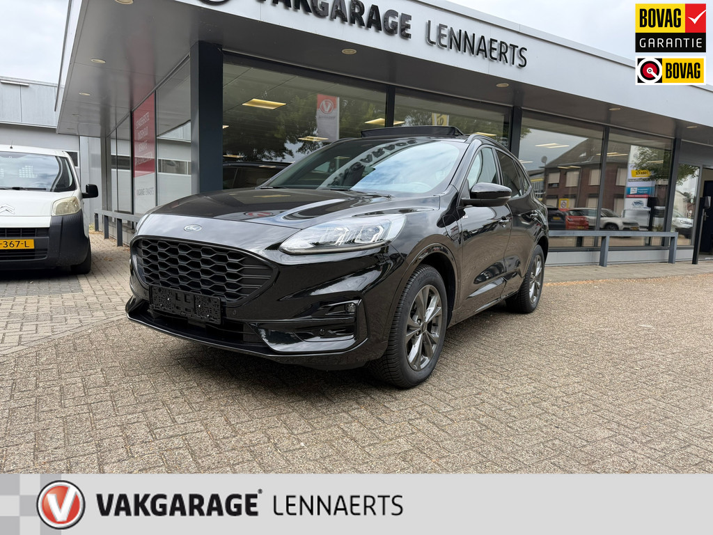 55442852